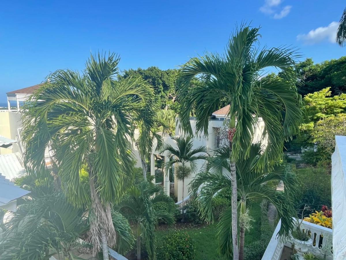 Hummingbird Retreat - Luxury Oceanview Apt, 7-Minute Walk To Beach Ocho Rios Dış mekan fotoğraf