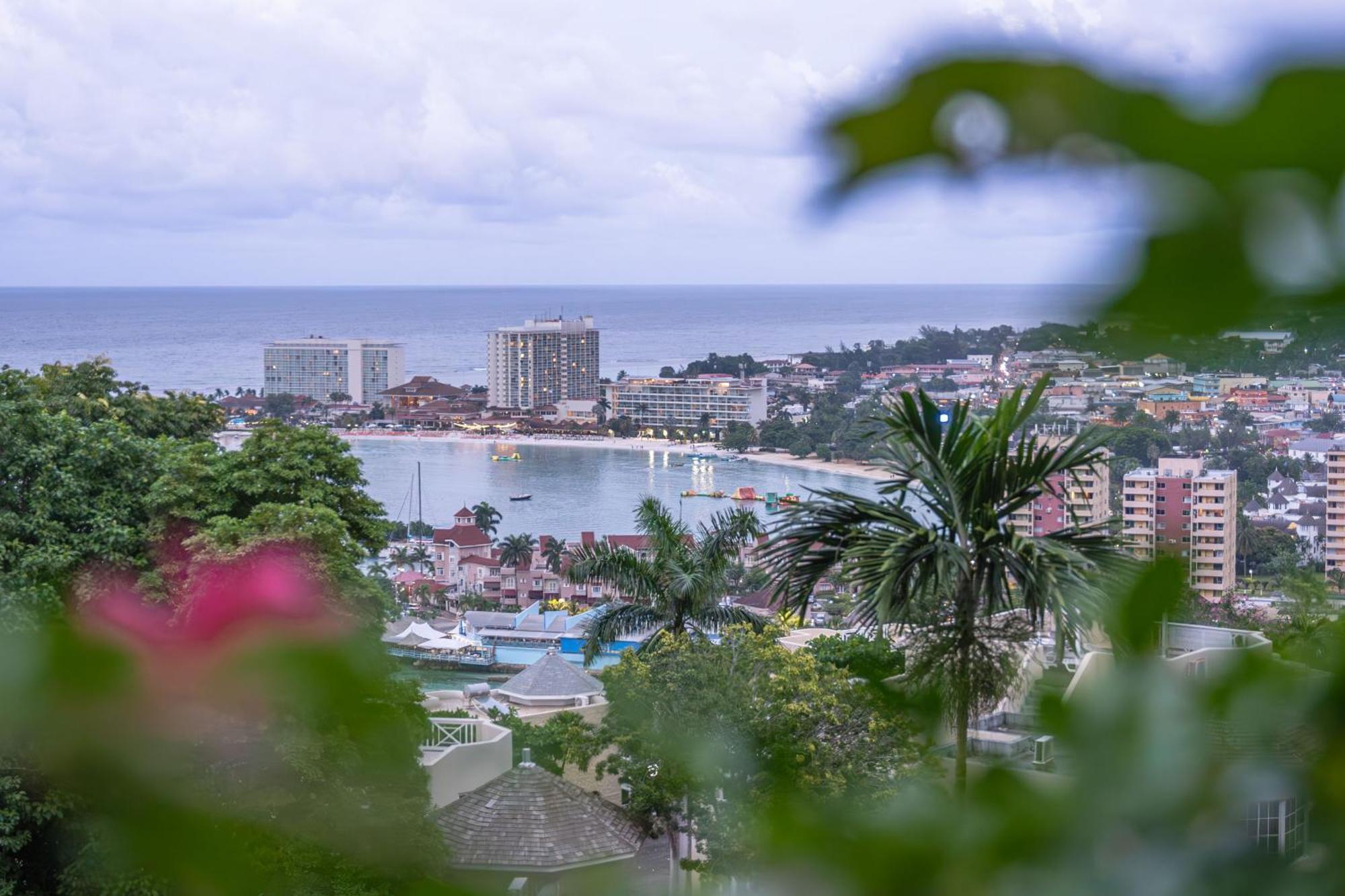 Hummingbird Retreat - Luxury Oceanview Apt, 7-Minute Walk To Beach Ocho Rios Dış mekan fotoğraf
