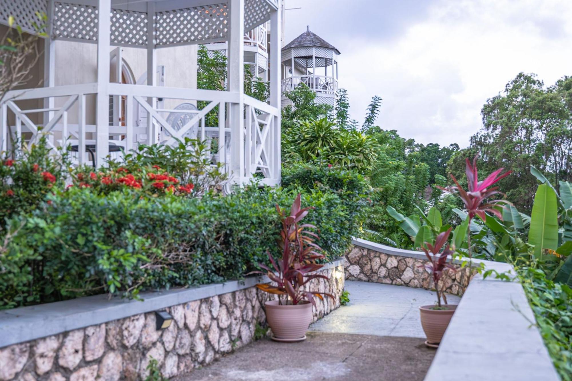 Hummingbird Retreat - Luxury Oceanview Apt, 7-Minute Walk To Beach Ocho Rios Dış mekan fotoğraf